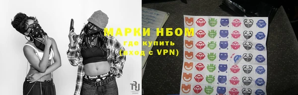 PSILOCYBIN Майский