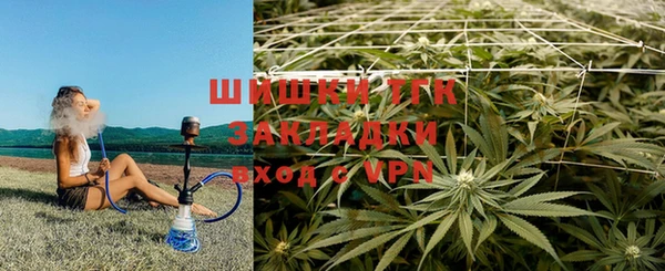 PSILOCYBIN Майский