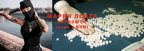 PSILOCYBIN Майский