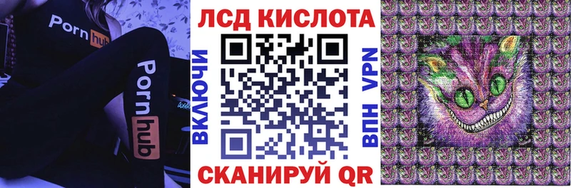где найти наркотики  Новопавловск  Наркотические марки 1,8мг 
