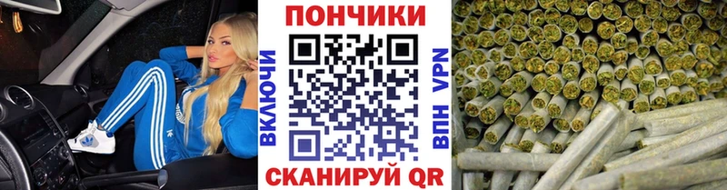 где можно купить   Новопавловск  Бошки Шишки план 